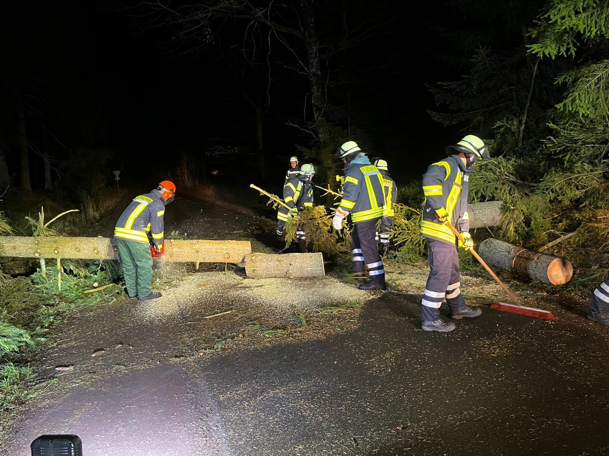 FW Lüchow-Dannenberg: +++stürmische Nacht in Lüchow-Dannenberg +++ Feuerwehren rücken zu insgesamt sieben Einsätzen aus +++ Schwerpunkt in der Samtgemeinde Elbtalaue +++