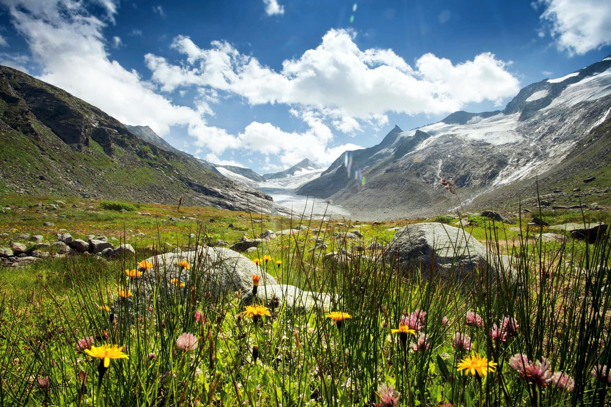 Raus aus den vier Wänden, rein in die Natur: Die Wildkogel-Arena startet in die Sommersaison