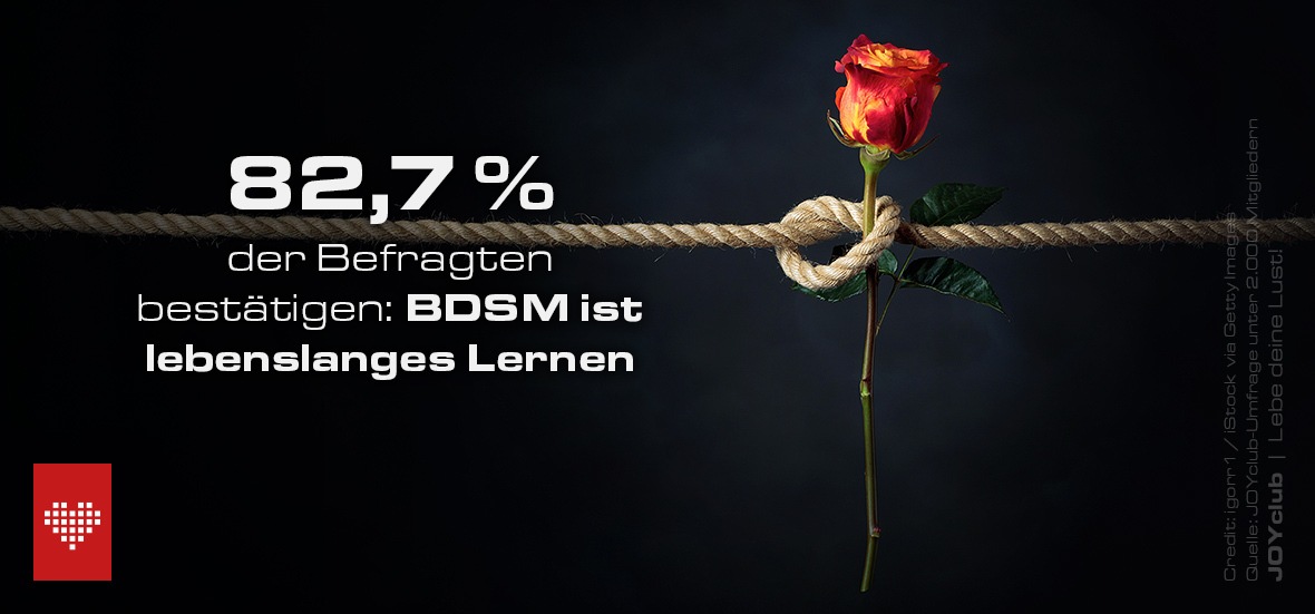 BDSM-Studie: Du, Schatz, wir müssen reden!