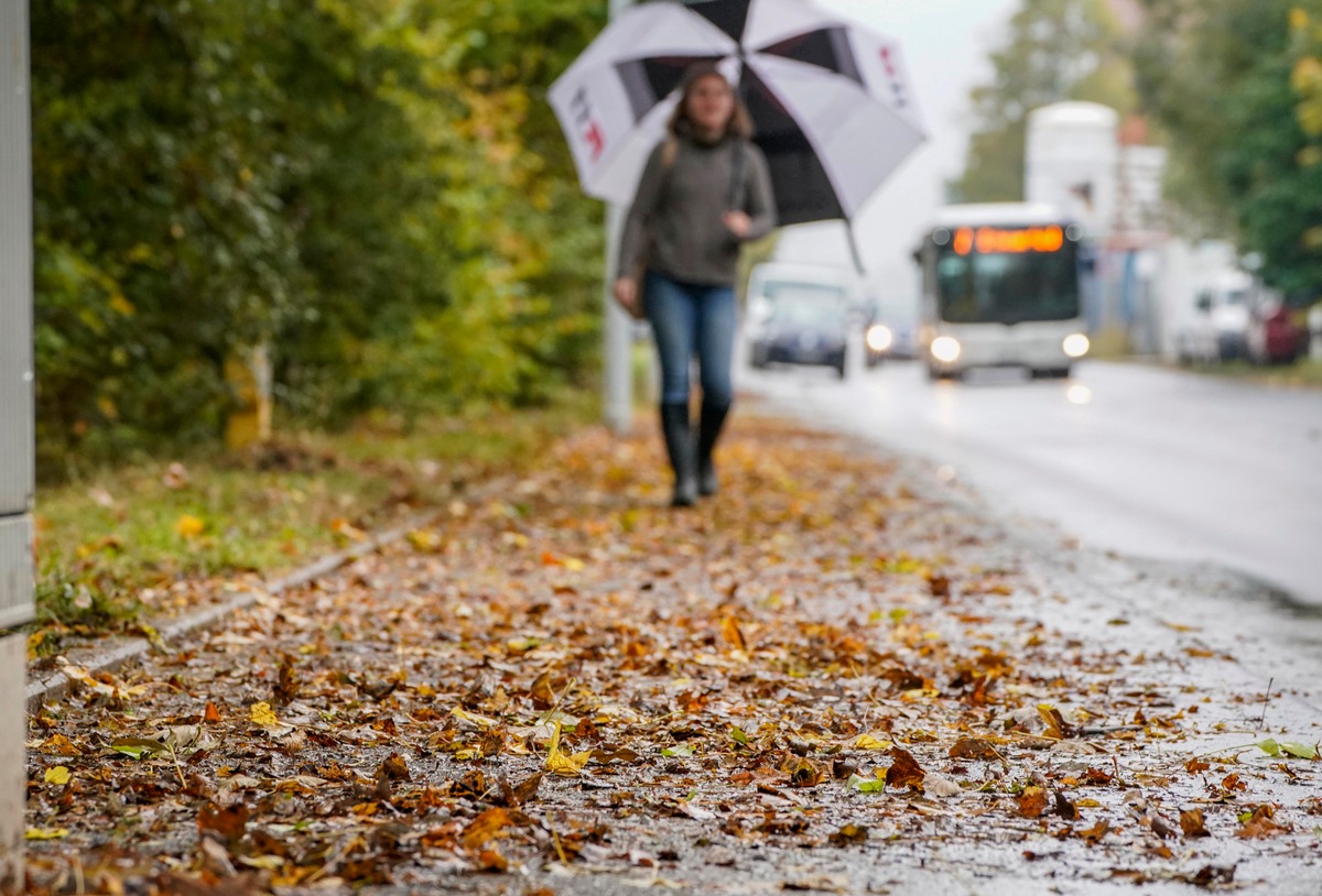 Herbst: Wer muss Bürgersteig vom Laub freihalten?