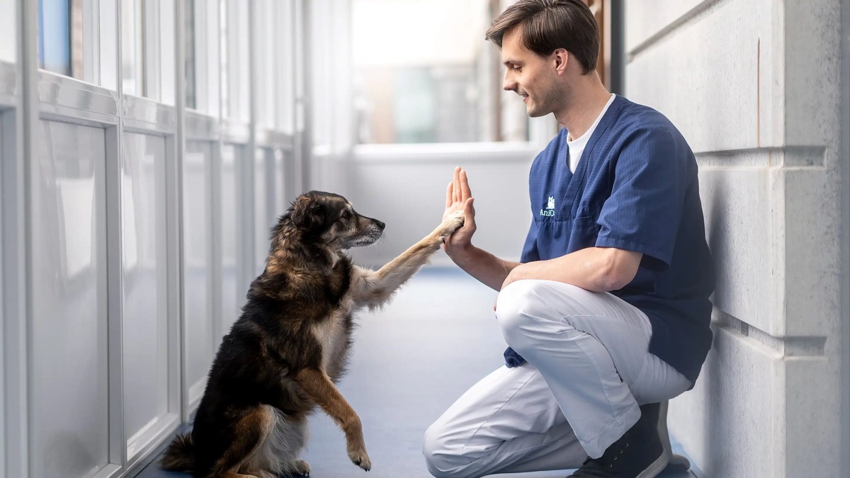 Zunahme von Parvovirus-Infektionen in Nordbayern: AniCura unterstreicht Relevanz von Impfungen