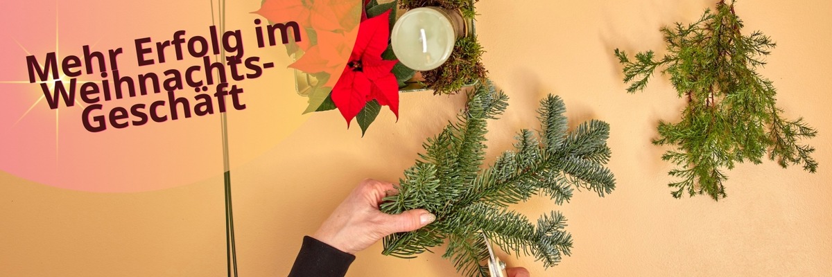 Mehr Erfolg im Weihnachtsgeschäft: Mit Poinsettien-Geschenk-Arrangements den Umsatz steigern