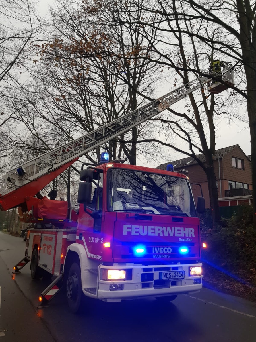 FW-Schermbeck: Sturmschaden &quot;Alte Dorstener Straße&quot;