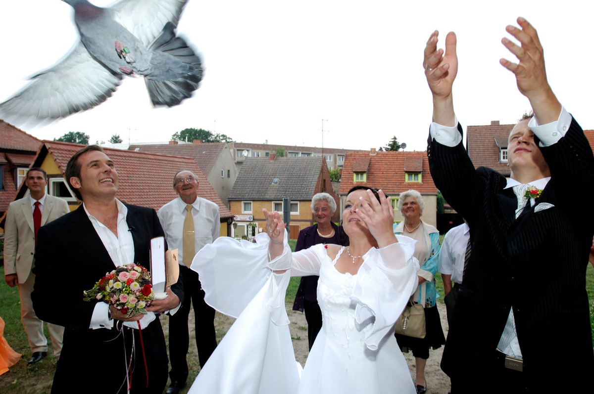 Der schönste Tag im Leben auf ProSieben! Mit &quot;Frank - dem Weddingplaner&quot; zur Traumhochzeit