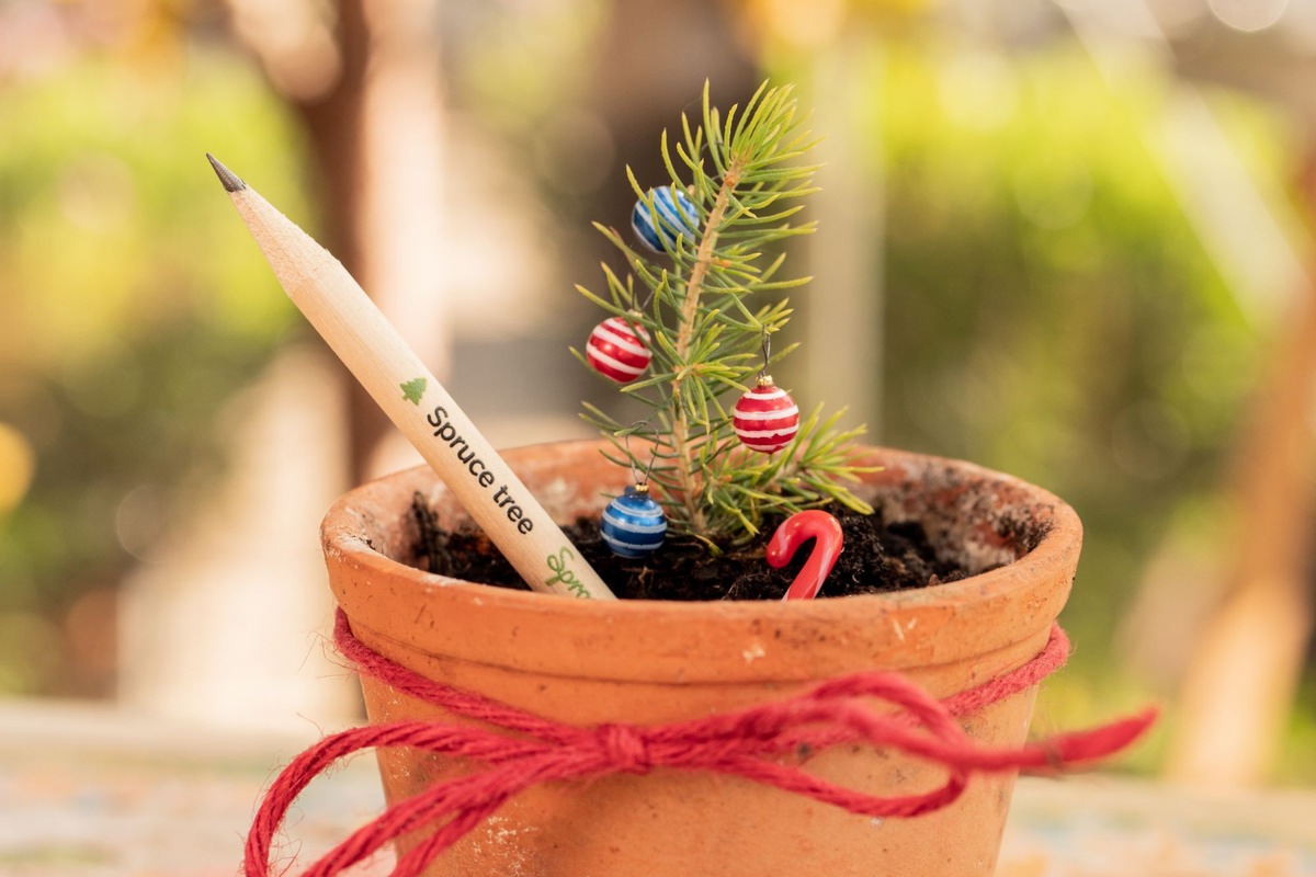 Zero Waste Weihnachten / Schreiben, Schminken, Schenken: Sprout-Stifte zu Advent, Nikolaus und Weihnachten