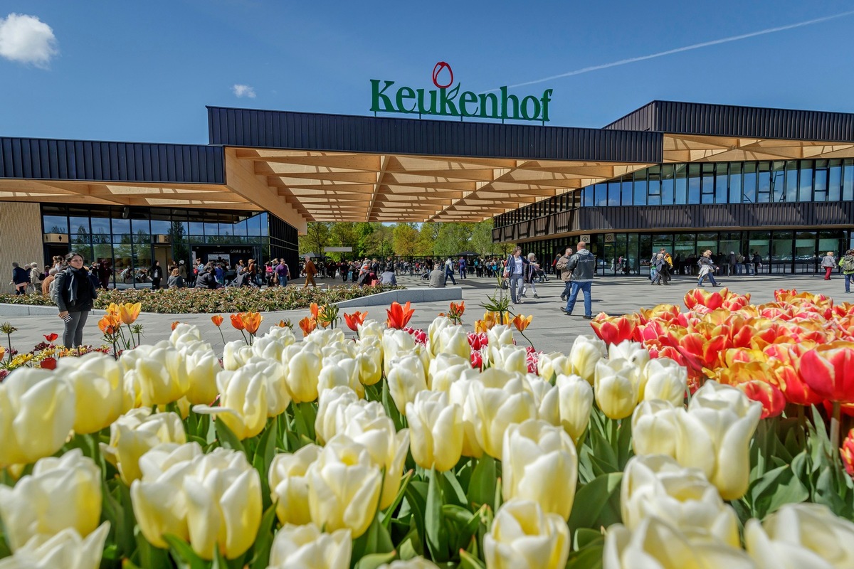 Pressebericht: 70 Jahre Keukenhof - Eröffnung der Saison am 21.03.2019