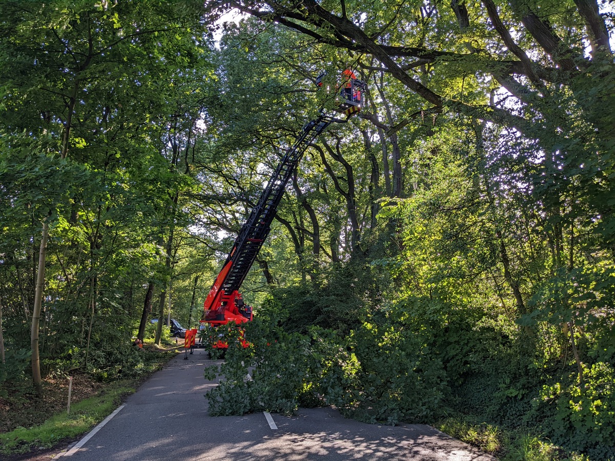 FW-MH: Herabgestürzter Ast blockiert Straße