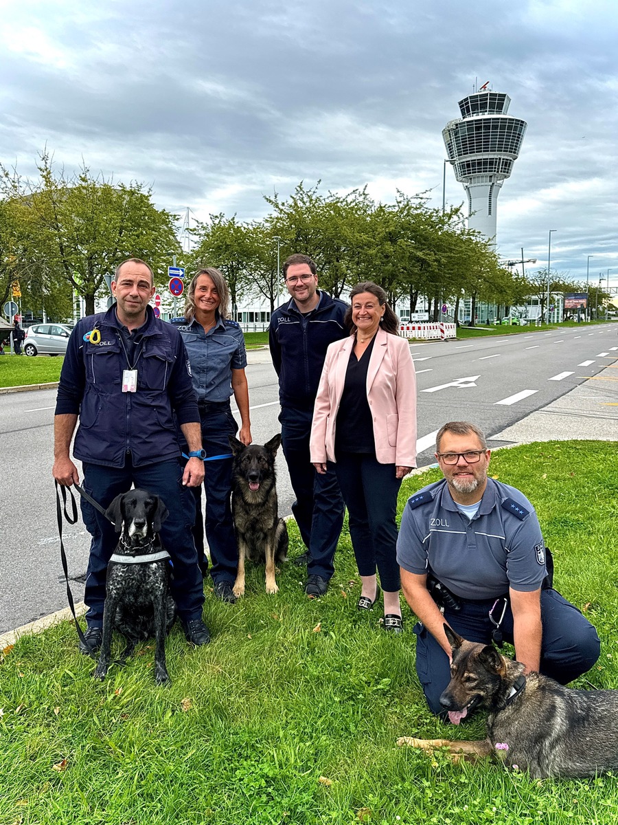 HZA-M: Neue Zollspürhunde am Münchner Flughafen im Einsatz