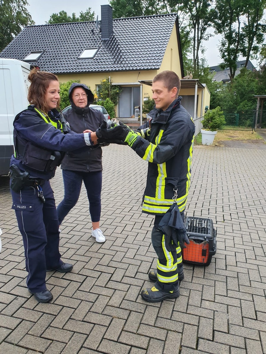 POL-DO: Polizei rettet Küken - freilaufende Gänsefamilie trägt maßgeblich zu Verkehrsproblemen in Kirchhörde bei