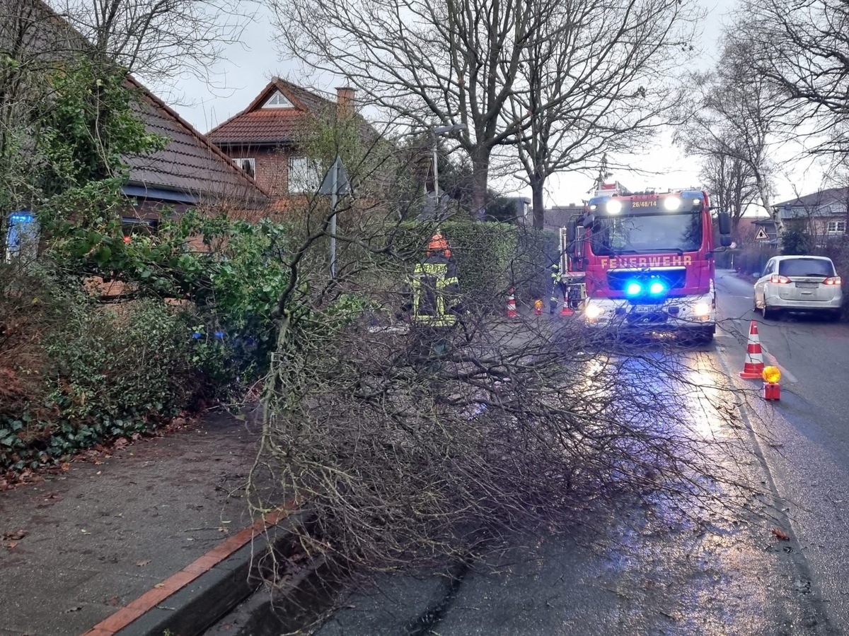 FFW Schiffdorf: Baum blockiert Straße und Gehweg