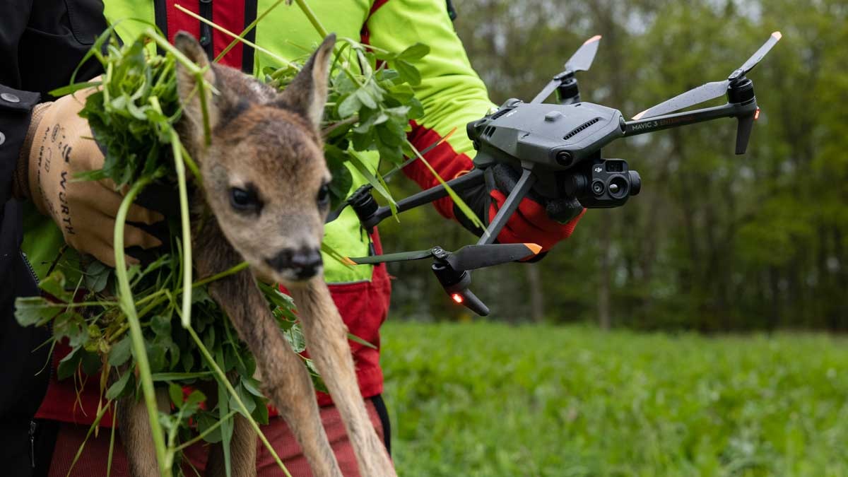 Alexander Mohr von der Copterpro GmbH: Wärmebilddrohnen im Einsatz für die Kitzrettung