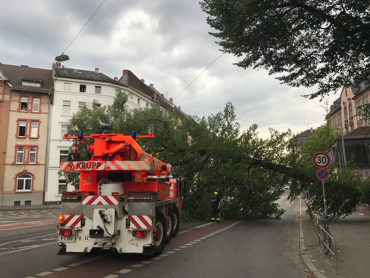 FW-F: Baum umgestürzt, ragt auf eine Kreuzung, droht Oberleitung abzureißen