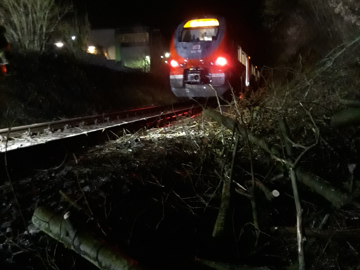 FW Menden: Personenzug kollidiert im Hönnetal mit umgestürzten Baum