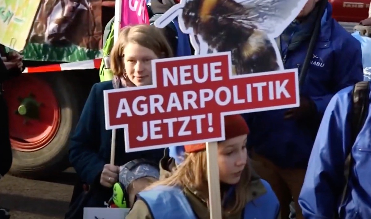 Was hat das Bienensterben mit den Bauernprotesten zu tun?