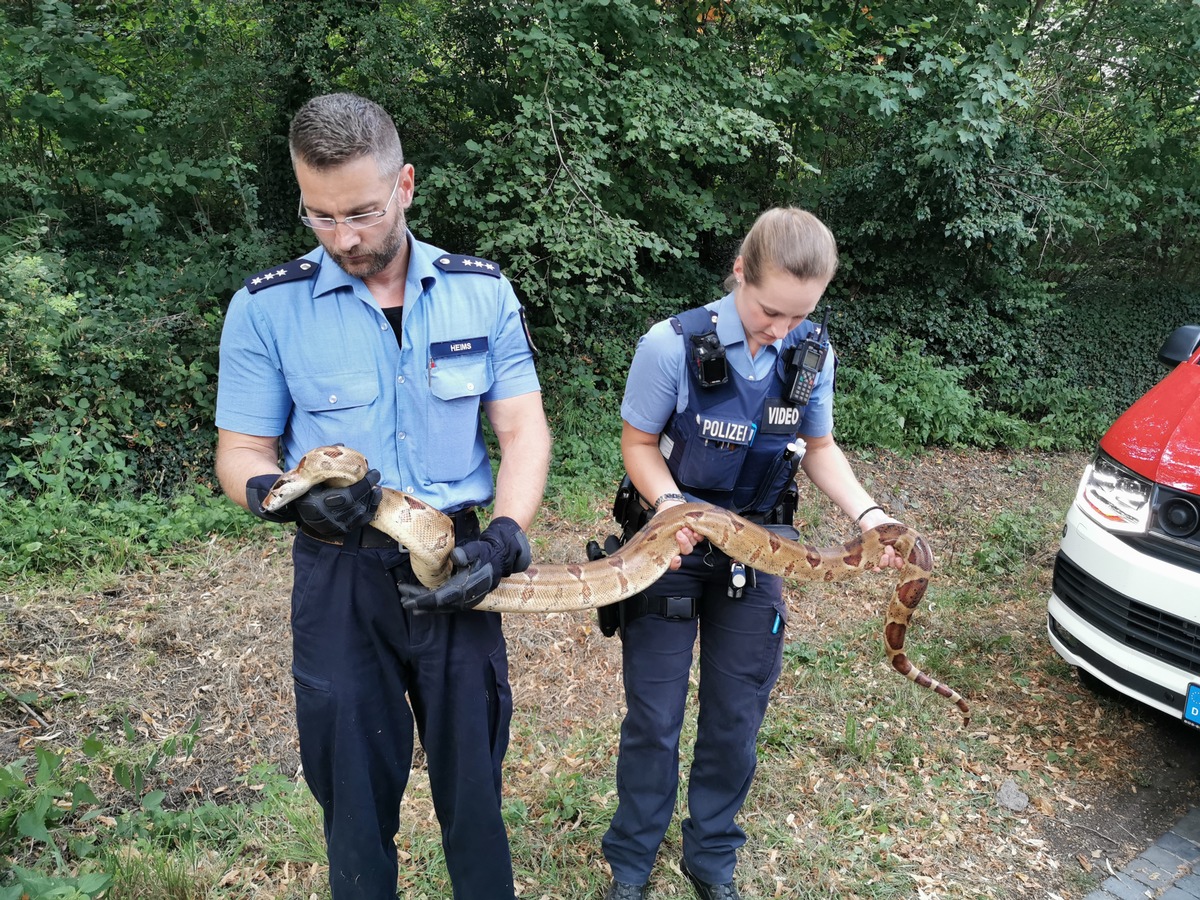 POL-PDKO: BOA allein in Boppard unterwegs