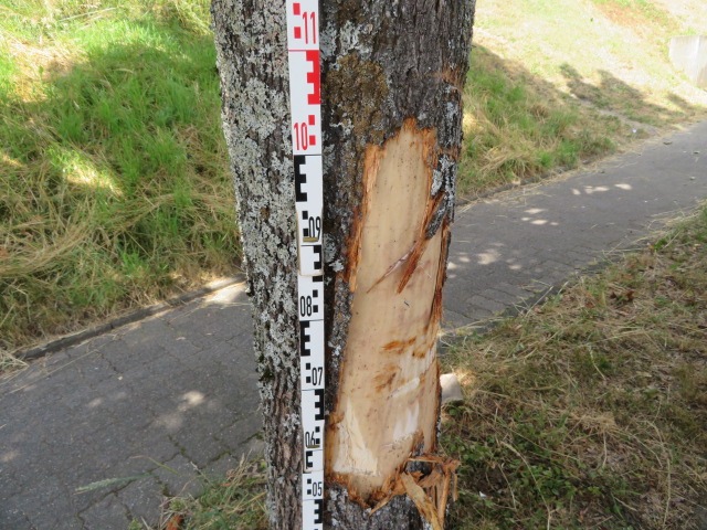 POL-OE: Bei Wendevorgang gegen Baum gefahren - 61-Jähriger verletzt sich