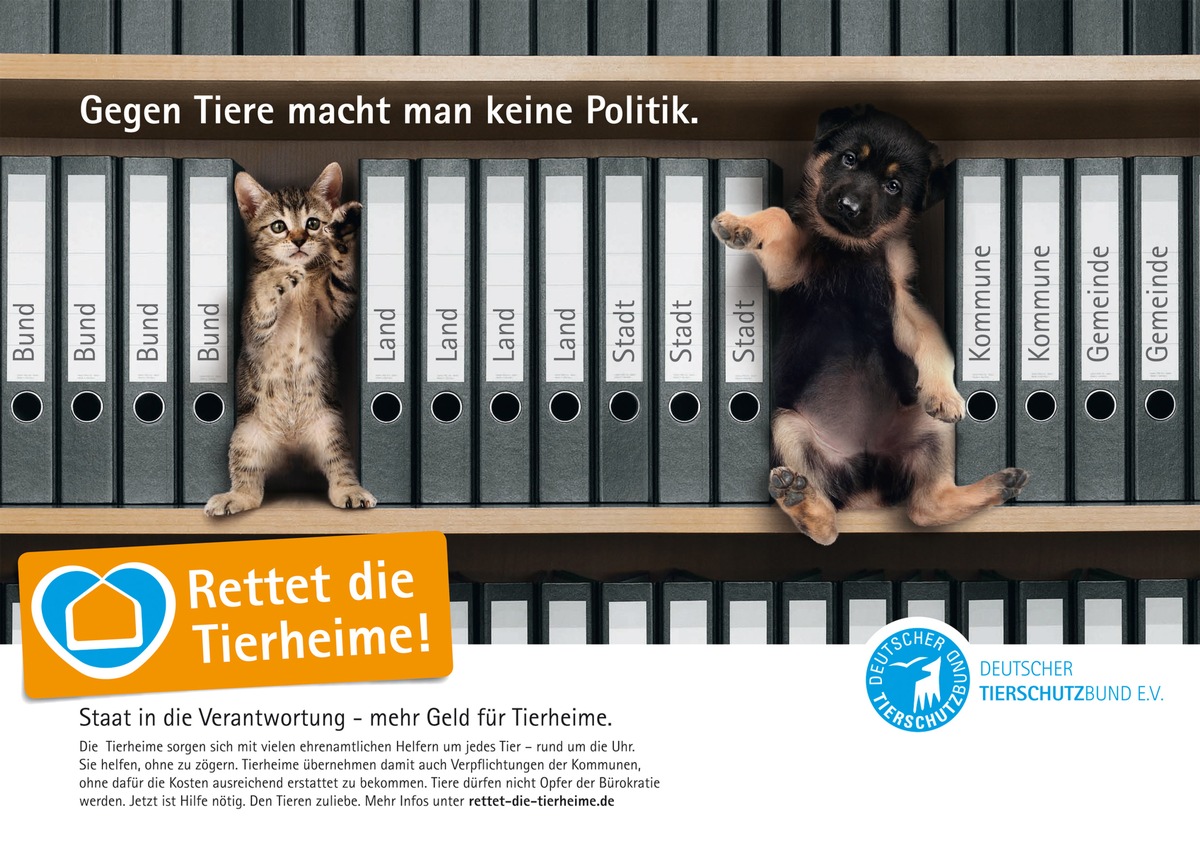 Leitmotto zum Welttierschutztag 2010: &quot;Rettet die Tierheime!&quot; (mit Bild)