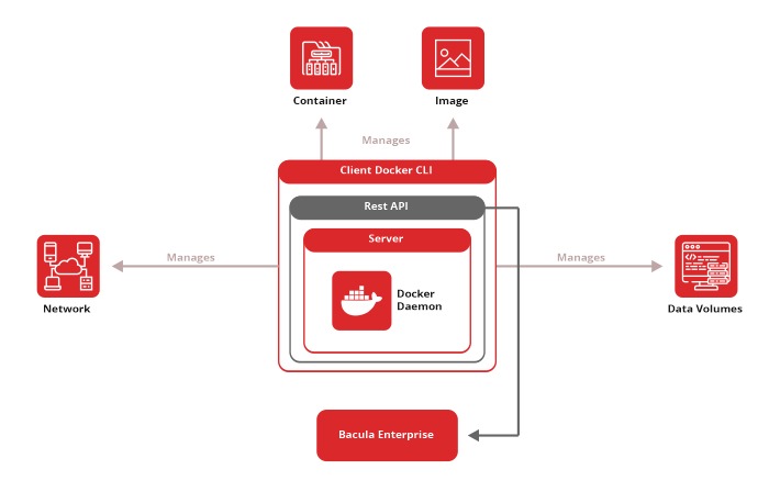 Bacula Announces Fully Integrated Backup and Recovery for Docker / Delivers world&#039;s first fully automated backup and recovery solution for containers