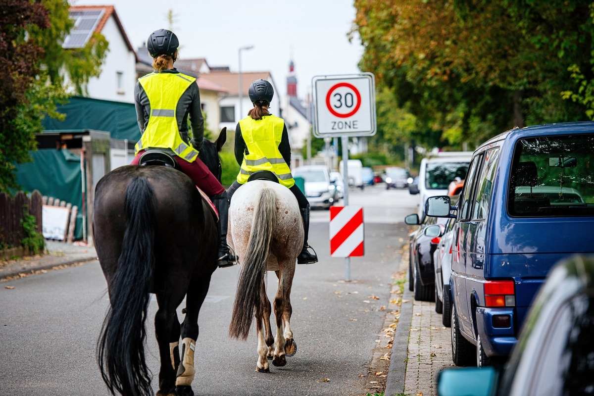 Pferde im Straßenverkehr / ADAC gibt Tipps zur Sicherheit von Tier und Reiter