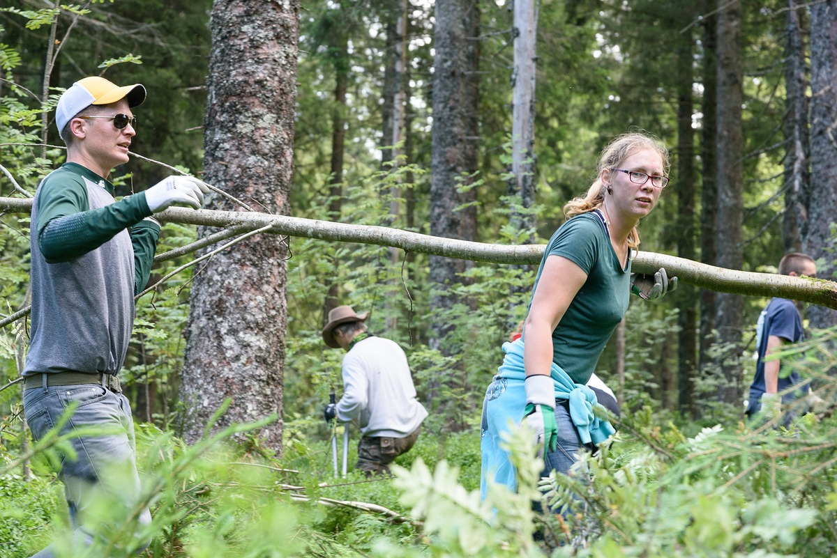 PRESSEMITTEILUNG: Nach Corona-Pause: Das Bergwaldprojekt e.V. wieder im Einsatz für Auerwild und Artenvielfalt in Triberg