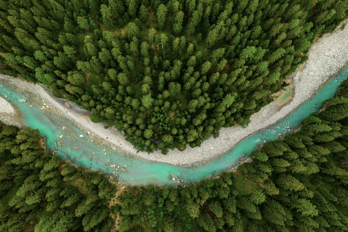 L&#039;Oréal Fund For Nature Regeneration forciert die Bemühungen zur Erhaltung der Biodiversität mit drei neuen Investitionen