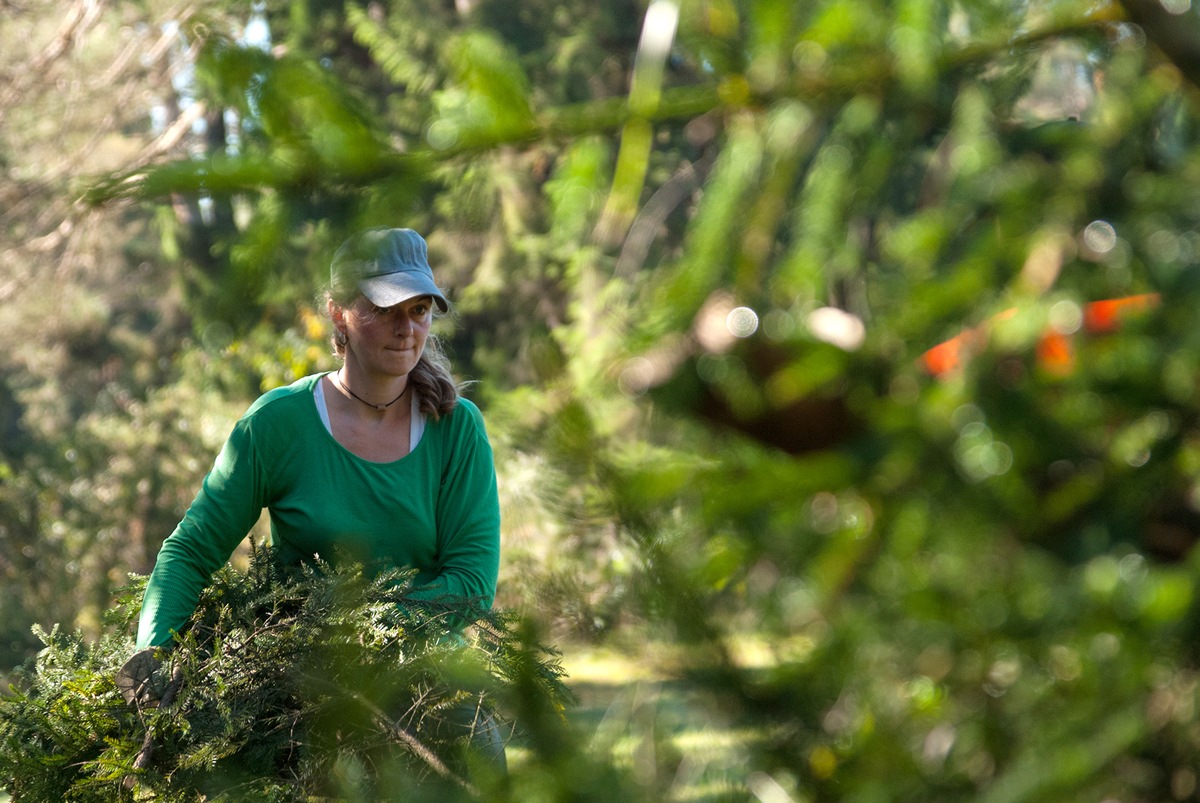 Im Einsatz für die Artenvielfalt: Das Bergwaldprojekt mit über 10 Freiwilligen im Lechtal