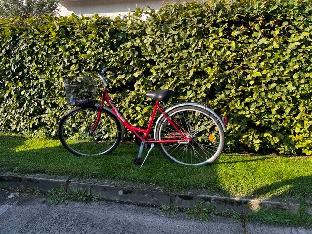 POL-HK: Soltau: Eigentümer zu einem Fahrrad gesucht (Foto); Schwarmstedt: 2,82 Promille auf dem Fahrrad; Rethem: Gegenstände aus Boot entwendet; Soltau: Verschließen Sie ihre Fahrzeuge!