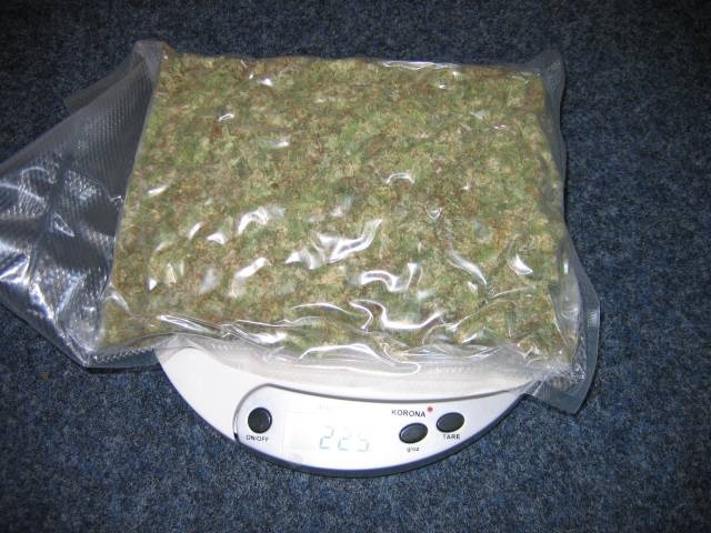 POL-NI: Marihuana im Wert von 2500 Euro sichergestellt - Bild im Download -