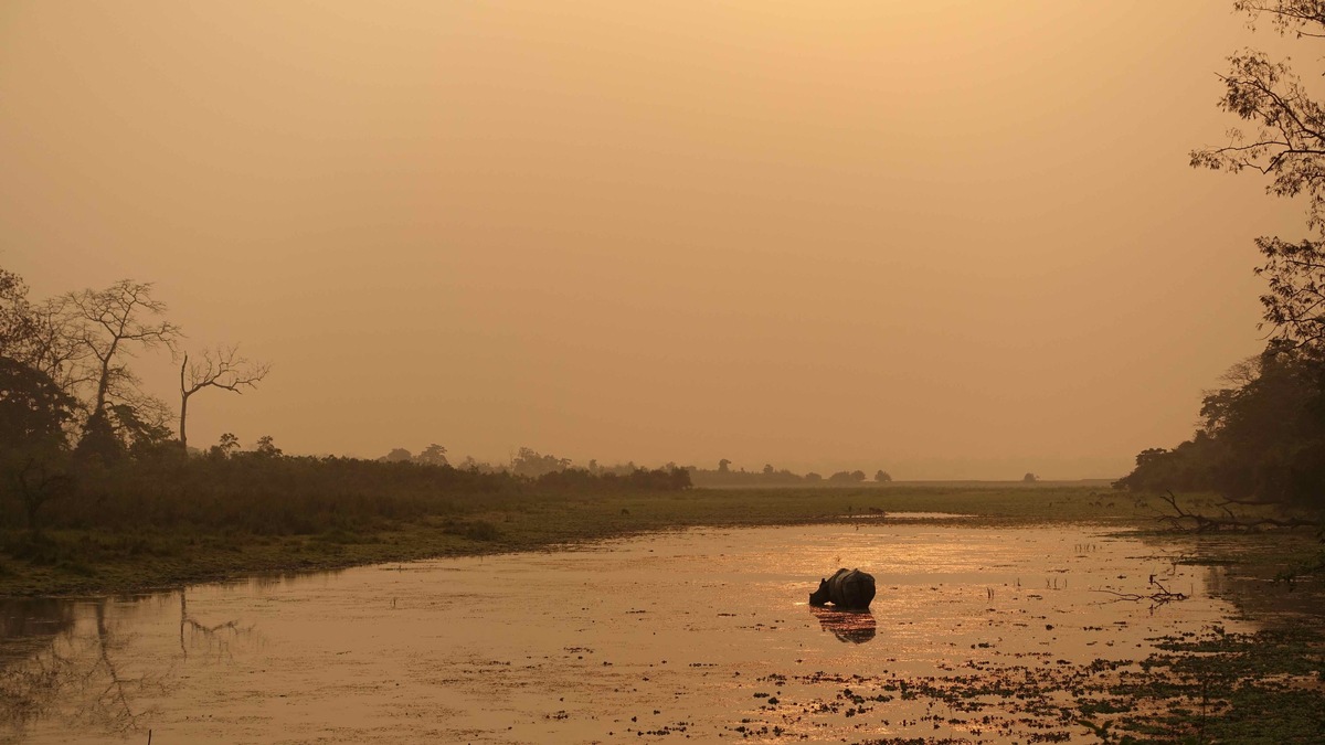 ZDF-&quot;Terra X&quot;-Doku zeigt erstmals gesamten Lauf des Brahmaputras (FOTO)