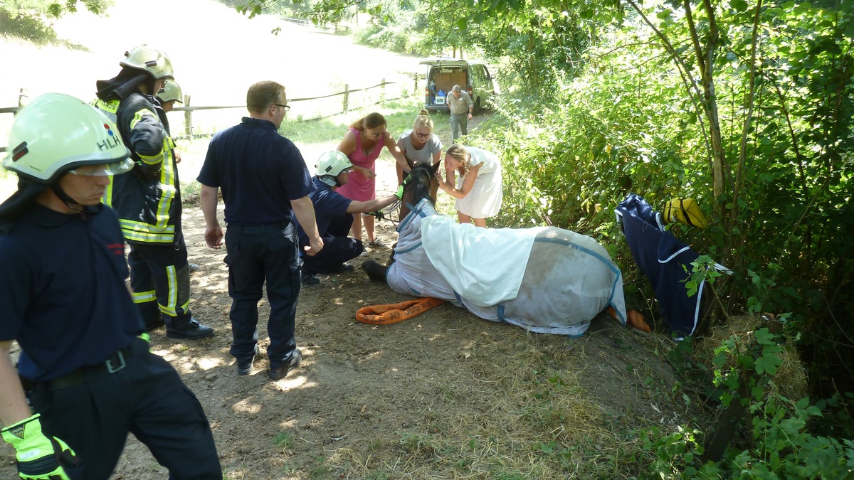 FW-Heiligenhaus: Feuerwehr rettet Pferd vor abrutschen (Meldung 17/2018)