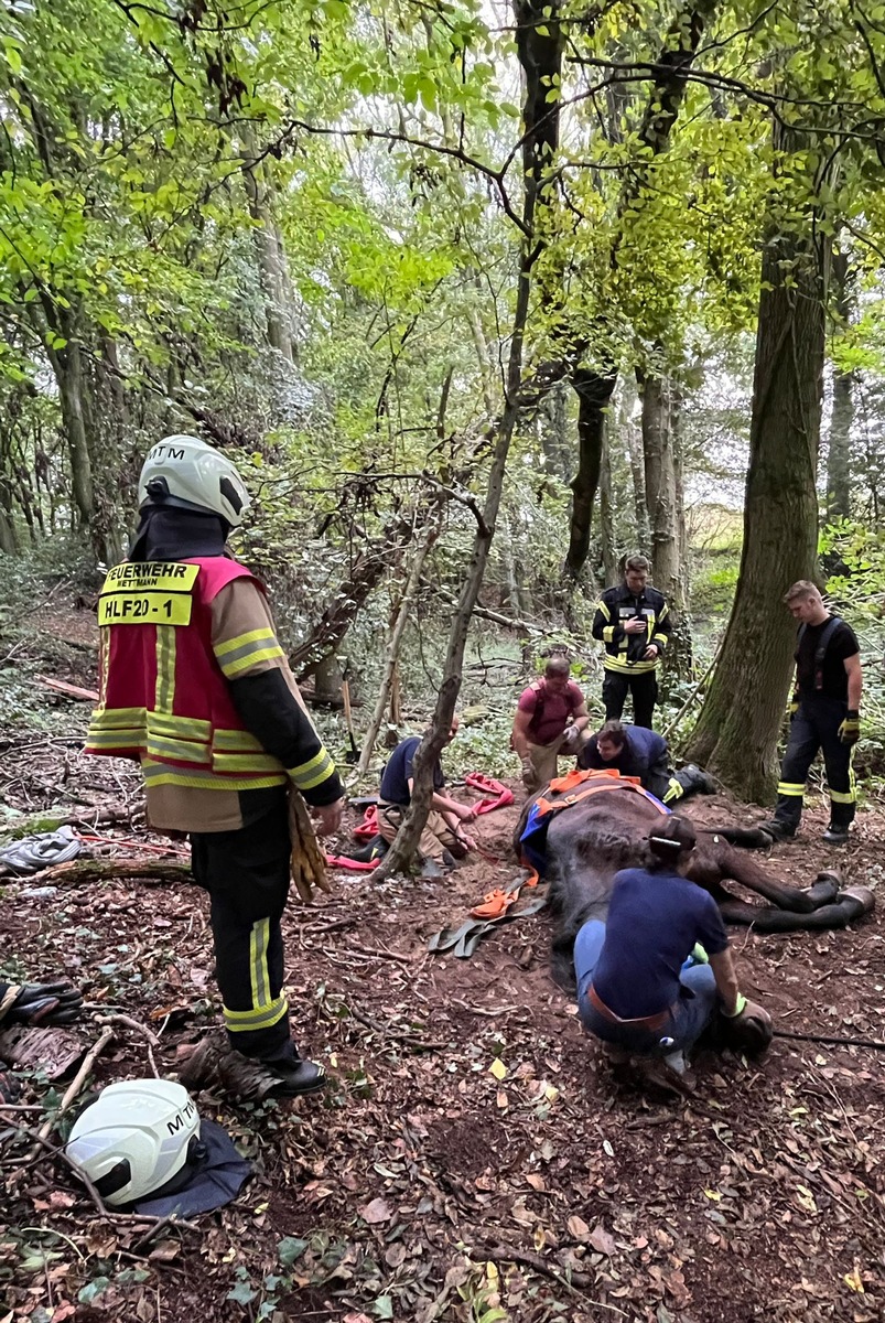 FW Mettmann: Feuerwehr Mettmann muss aufwendig Großtier aus misslicher Lage befreien.