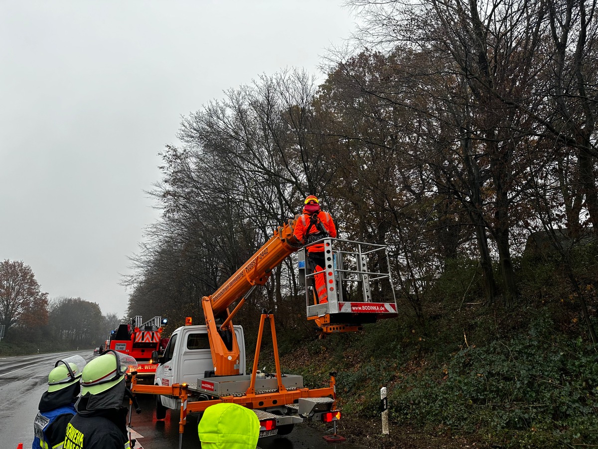 FW-Schermbeck: Baum droht auf Fahrbahn zu stürzen