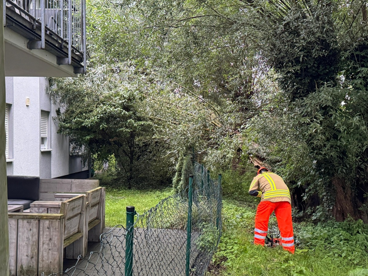 FW Alpen: Ast lehnte gegen Hauswand