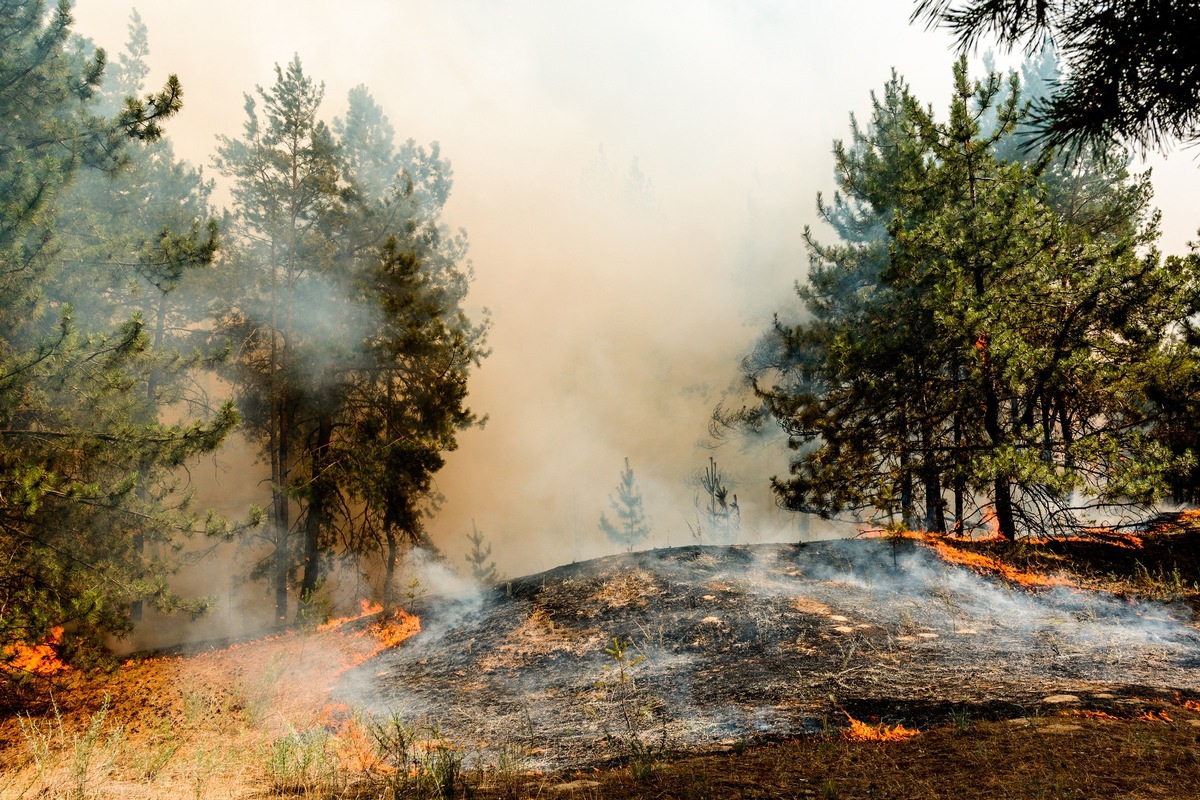 Waldbrandgefahr spitzt sich weiter zu