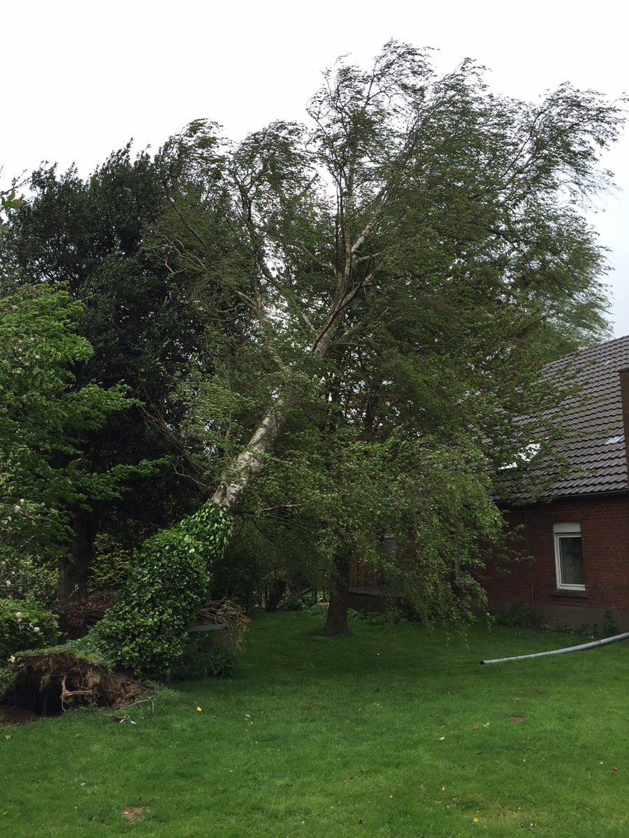 FW-KLE: Baum drohte auf Haus zu stürzen. Sturmböen führten zu Feuerwehreinsätzen.