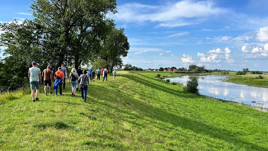 PM Blick in die Zukunft: Exkursion eröffnet Perspektiven auf die Alte Elbe bei Bösewig