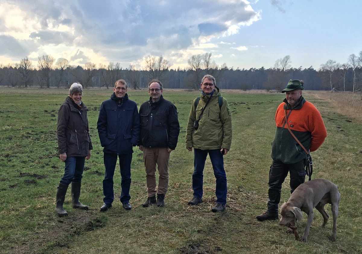 Moorschutz im DBU-Naturerbe Gelbensander Forst