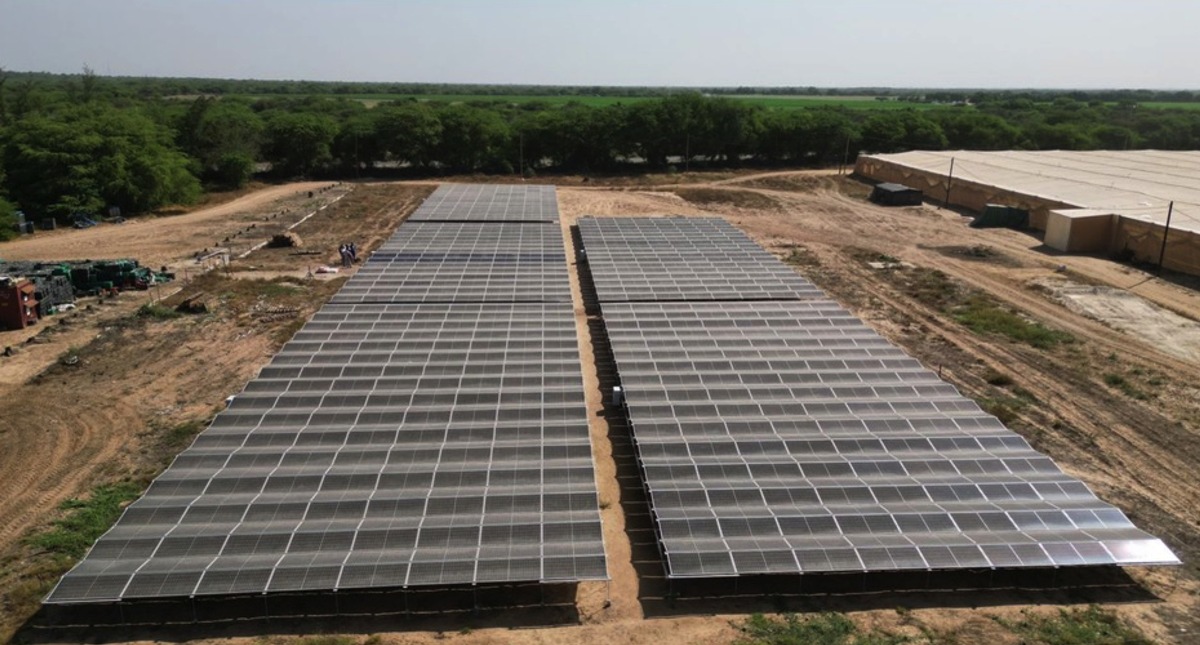 Solar for agriculture - GRIPS inaugurates solar plant in Senegal