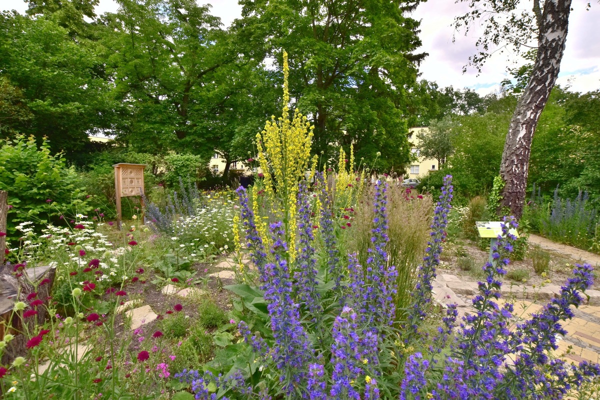 Erster Berliner PikoPark gewinnt „European Award for Ecological Gardening 2023“