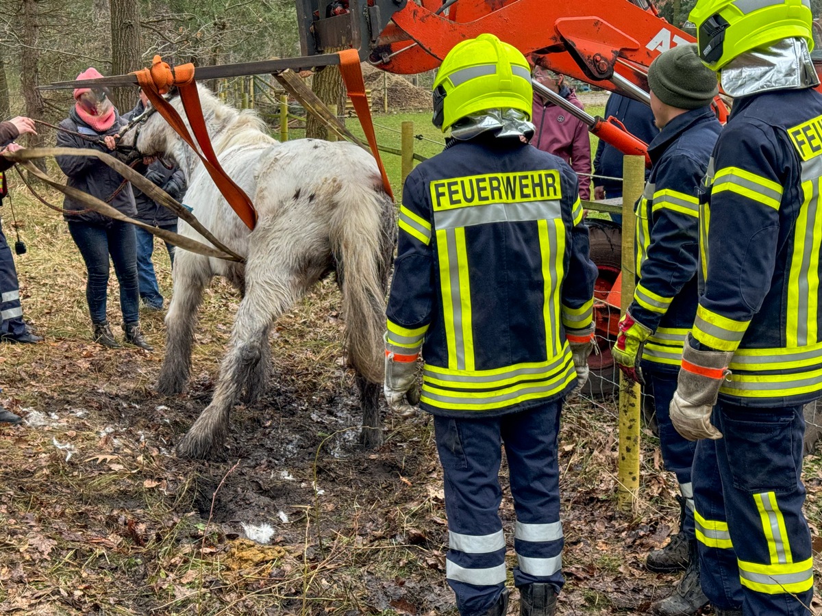 FW Flotwedel: Ortsfeuerwehr Nienhof befreit Pferd aus misslicher Lage