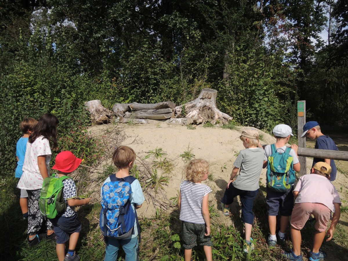 Gemeinsame Naturerlebnisse beim Naturama Familiensommer