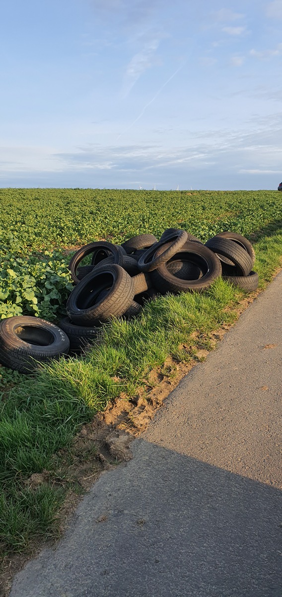 POL-PDKL: Illegale Abfallentsorgung