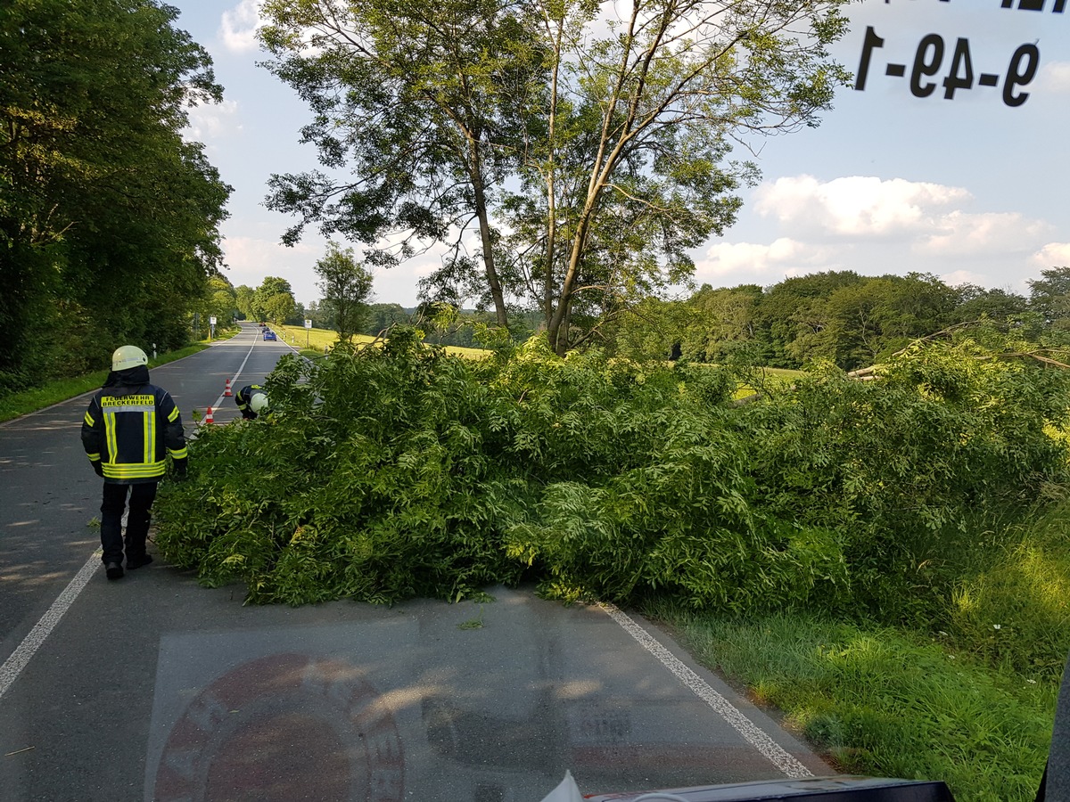 FW-EN: Baum auf Straße