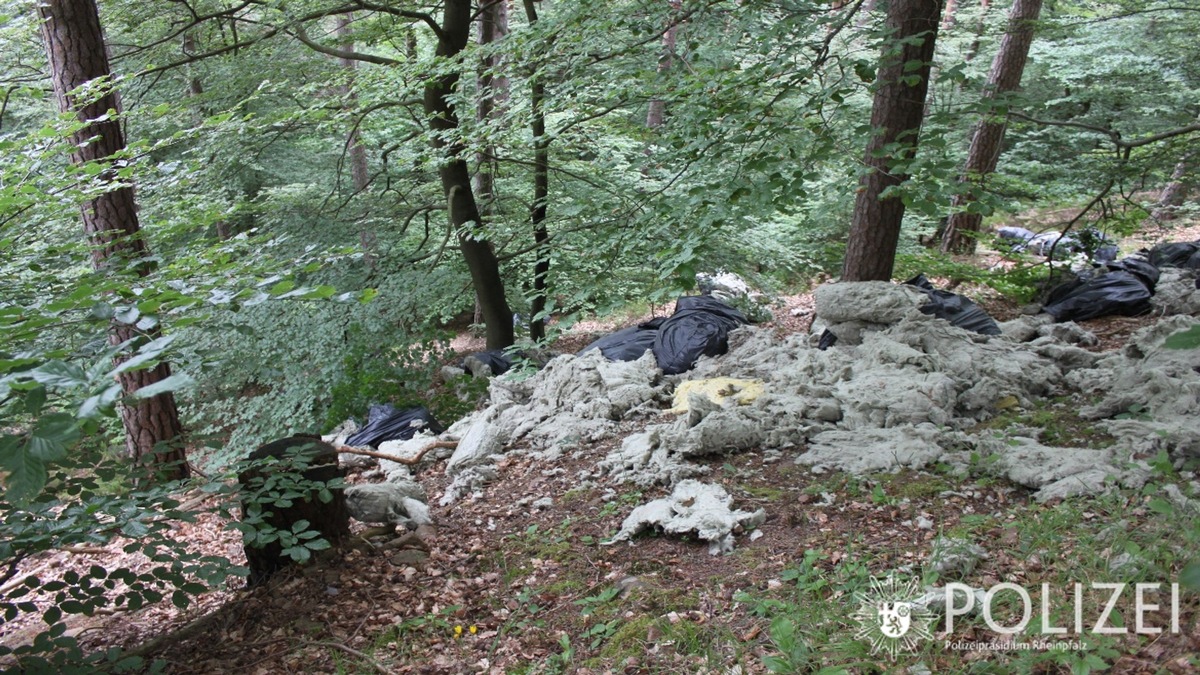 POL-PDNW: Müllablagerung im Wald bei Lindenberg - Zeugenaufruf