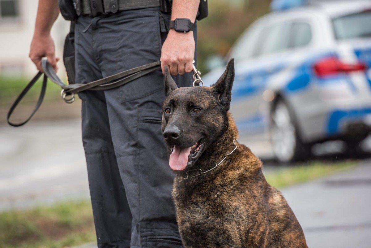 BPOL-KS: Gleissperrungen und Polizeieinsatz wegen zurückgelassenem Koffer