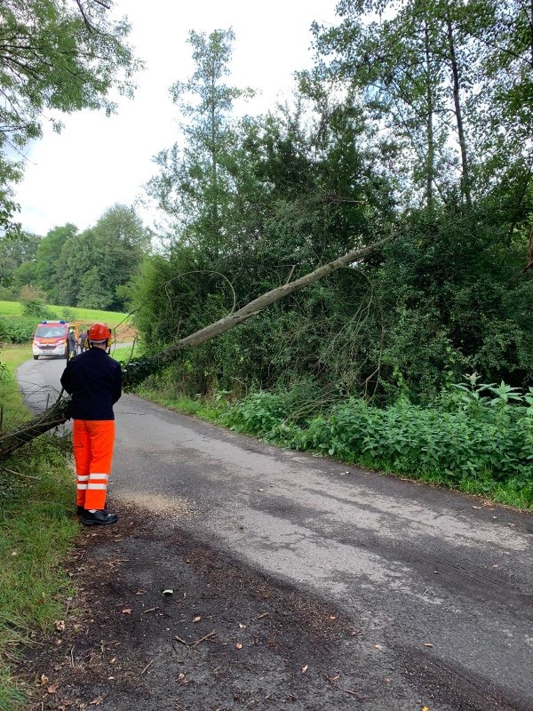 FW-EN: Feuerwehr Wetter -Personenrettung über Drehleiter und umgestürzter Baum