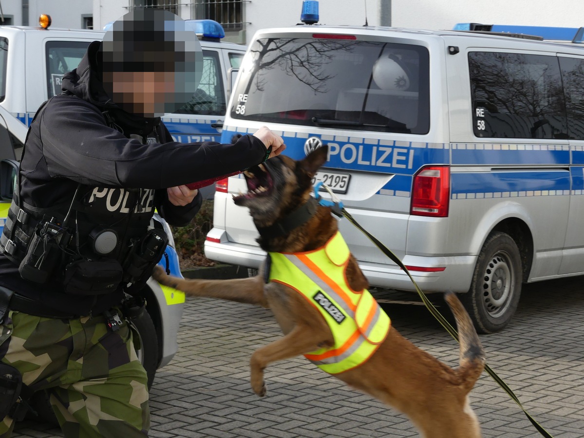 POL-SO: Soest - Diensthündin Rumba schnappt jugendliche Einbrecher in Grundschule