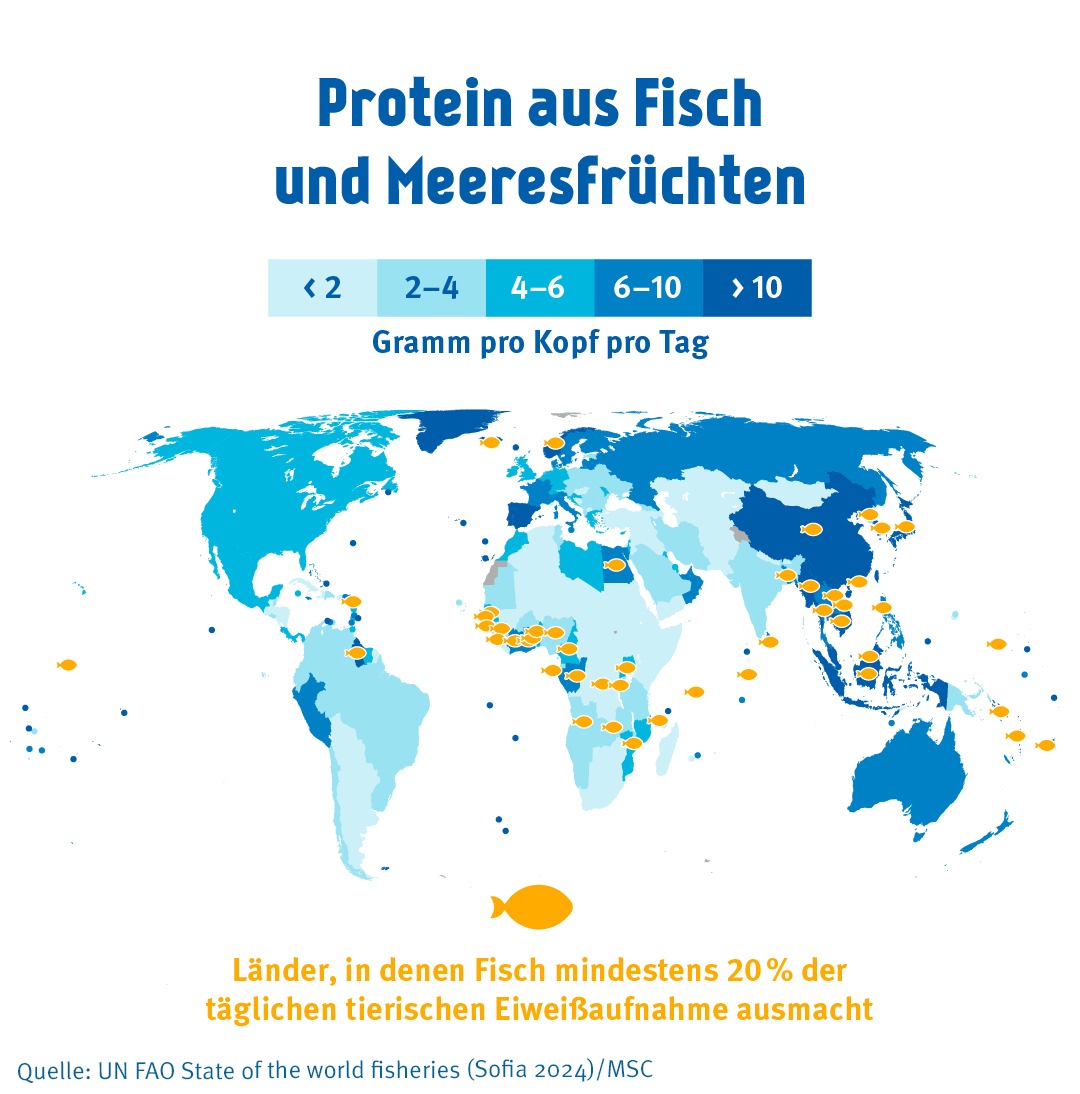 Fisch für die Welternährung - Dringender Handlungsbedarf für globale Nahrungssicherheit