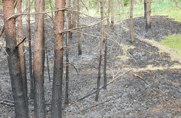 DBU Naturerbe dankt Feuerwehren für Einsatz