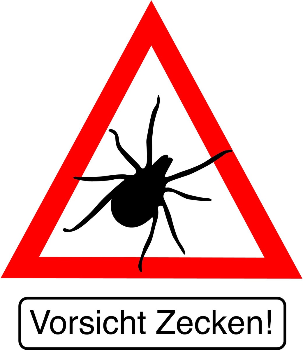 AXA Versicherung warnt: Zeckenbiss für Kinder gefährlich